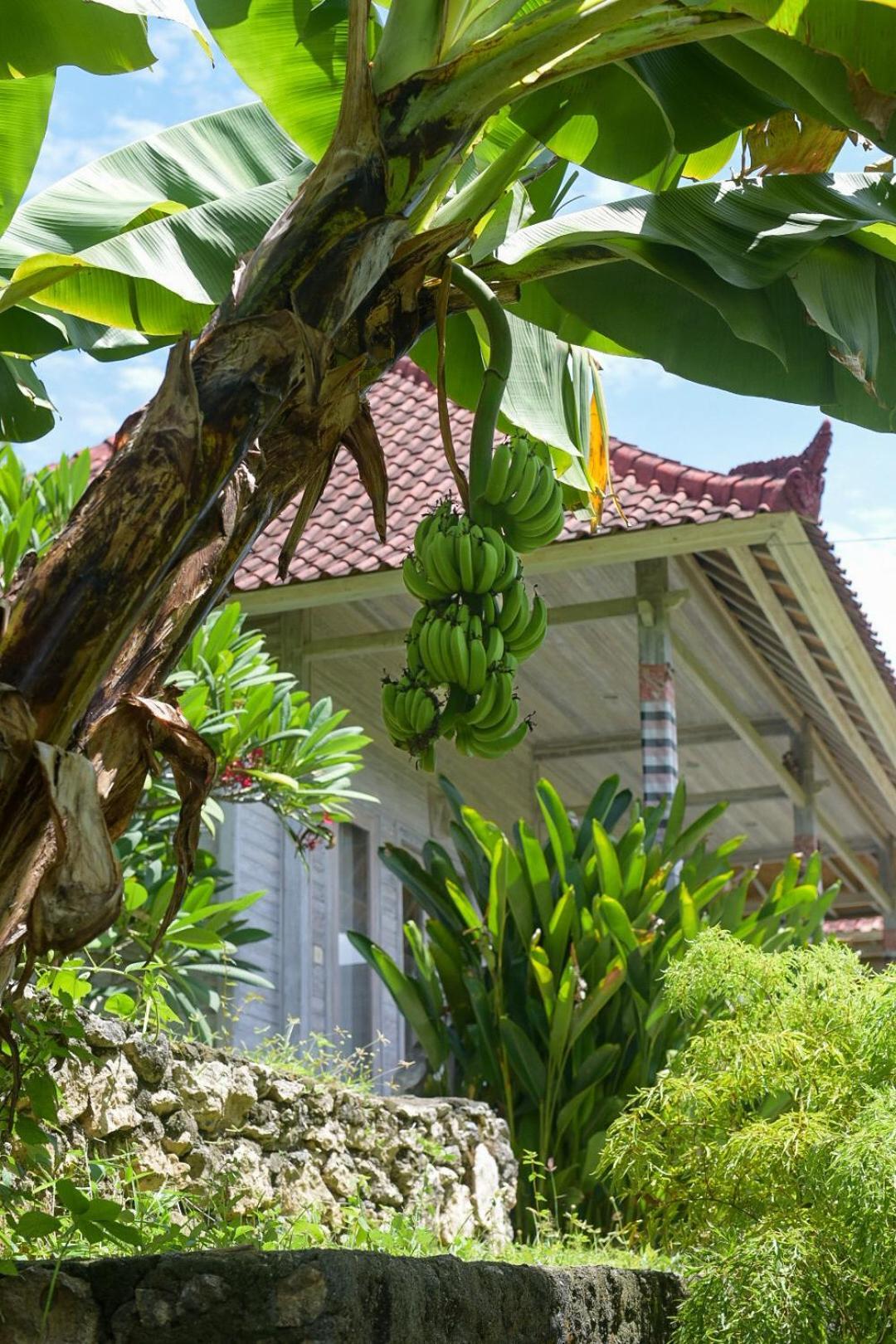 Mesari Hut Lembongan Hotel Екстериор снимка
